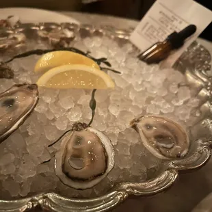 a platter of oysters on ice