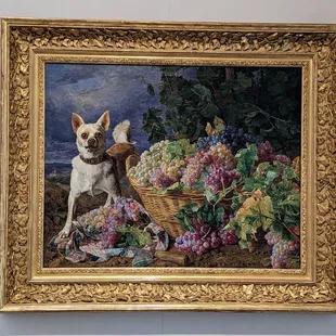 There should be a lot of Yelpers that like this one! Dog Guarding Grapes