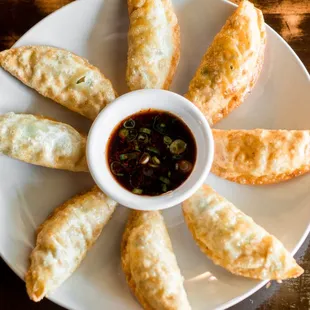 Fried Dumplings