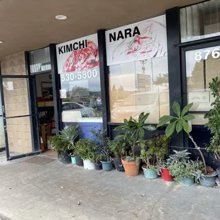 many potted plants in front of a store