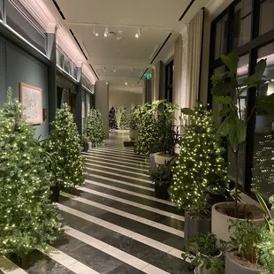 All decked out for the holidays