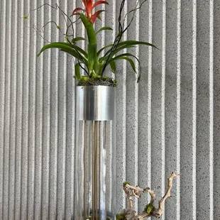 Bird of paradise in the lobby