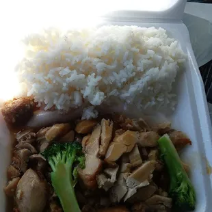 Chicken teriyaki