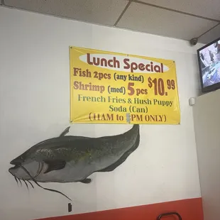 Lunch special