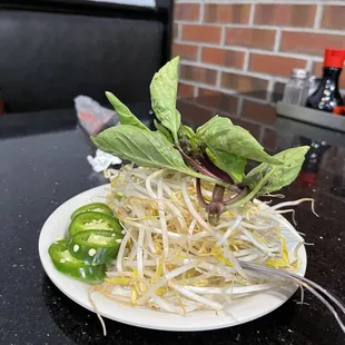 Bean sprouts