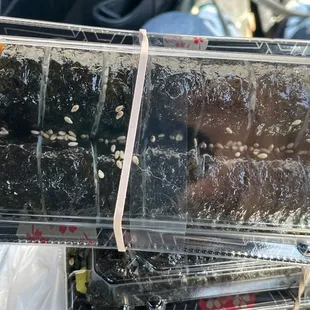 a person holding a plastic container of food