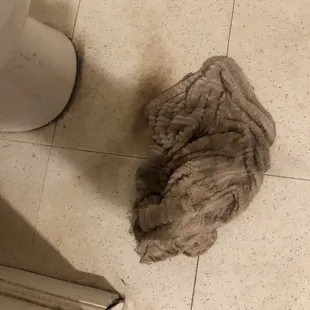 Left a soaked, stinky towel on my bathroom floor!
