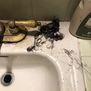 This is what he found in my sink. Mind you THE TRASH CAN IS A HEAD TURN AWAY!