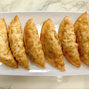 Fried Dumplings
