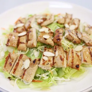 Oriental Chicken (Breast) Salad