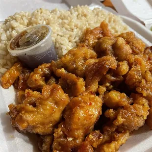 Kim&apos;s General Tso&apos;s Chicken with Brown Rice