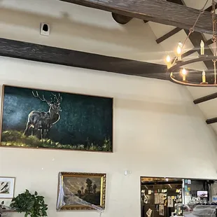 Excuse me look at that beautiful boy