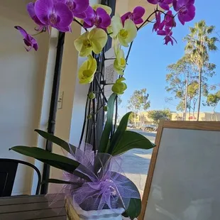 a purple and yellow orchid arrangement