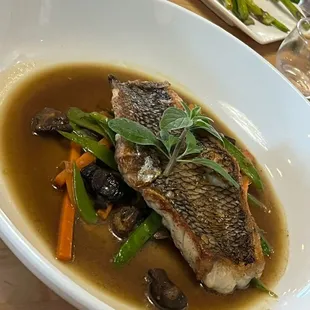 Black seabass