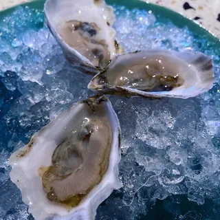 Oysters on the Half Shell*