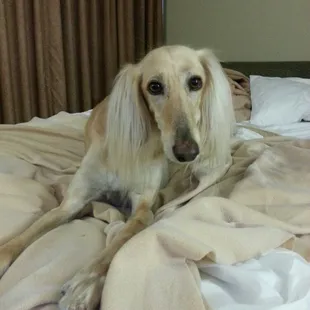 I love them!! Love" Sammy D. "