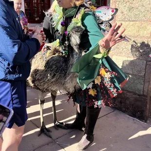The emu made its way to the stage and started dancing; I swear I&apos;m not making this up