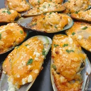 food, mussels, oysters and mussels, shellfish, oysters