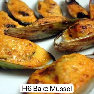 oysters and mussels, shellfish, oysters, food, mussels