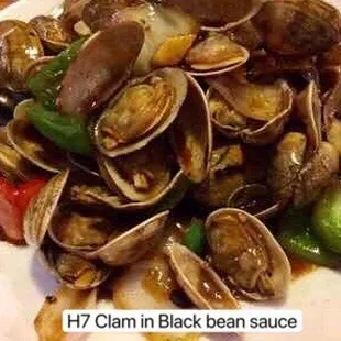 shellfish, food, oysters, oysters and mussels, mussels