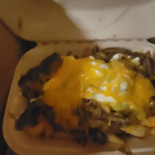 Carna Asada Fries