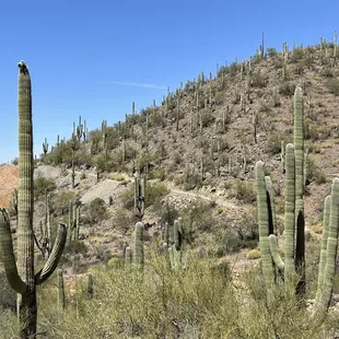 Sendero Esperanza Trail