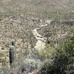 King Canyon Wash Trail