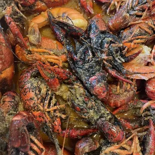 King Crab House