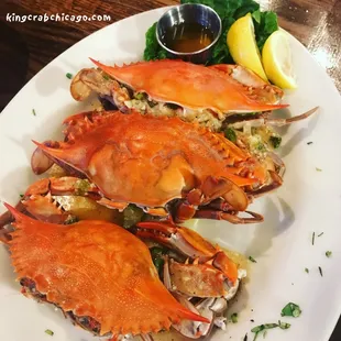 Blue Point Oysters