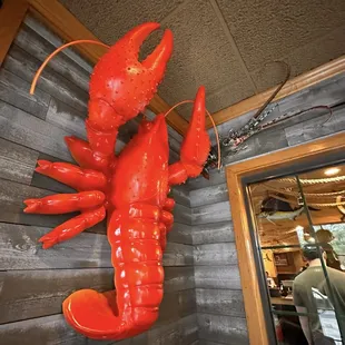 Decor