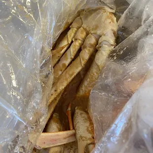 Dungeness crab