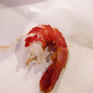 Ridgeback Shrimp