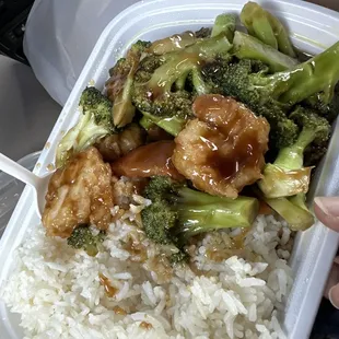 Shrimp and Broccoli