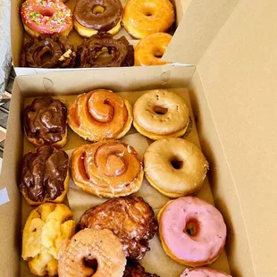 Assorted Dozen Donuts