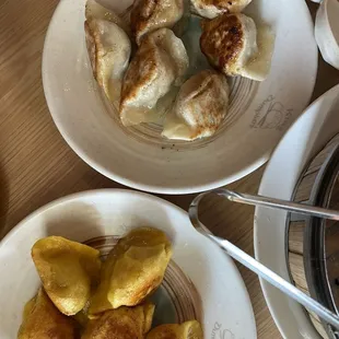 Pan Fried Pork Dumplings