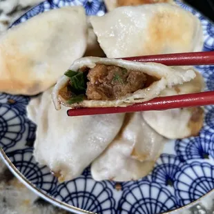 Frozen Dumplings