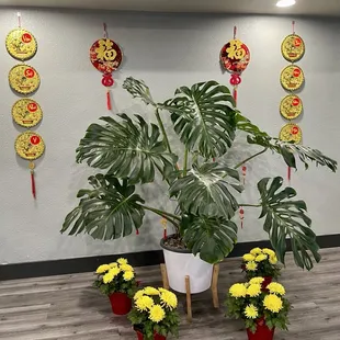 a potted plant with yellow flowers