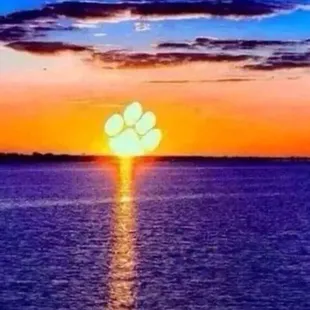 Sunsets on the Delta are like no where else...sort of takes you to a different place!!