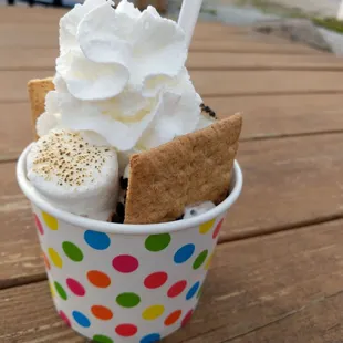 Half size smores sundae!