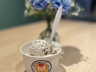 Mitchell's Homemade Ice Cream - Beachwood