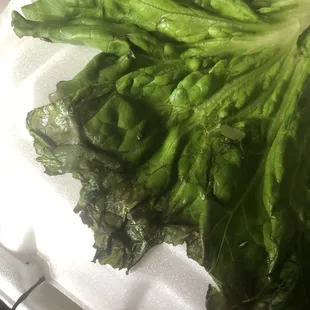 They served me rotting lettuce on my burger. Really?