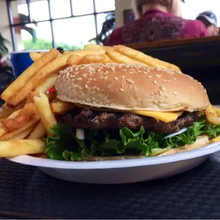 Single burger with a mountain of fries
