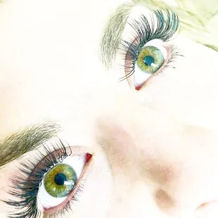 The amazing work of Miss Justee at the Lash and Brow studio! I get complimented on a daily basis and asked if my lashes are real!