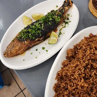 food, grilled seafood, fish, seafood, grilled fish