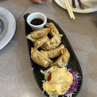 Deep-Fried Dumplings