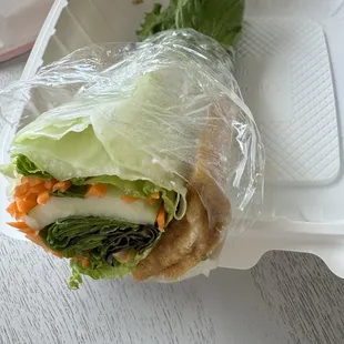 Fresh Spring Roll