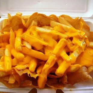 cheese fries in a styrofoam container