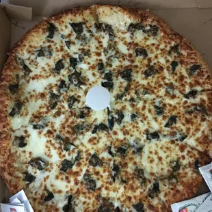 Large spinach alfredo pizza for delivery ($19) pricey but well worth it!