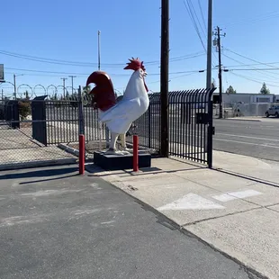 a white rooster on a red post