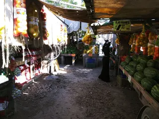 Driscoll Fruit Stand